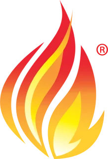 HL7/FHIR Compliant standart icon